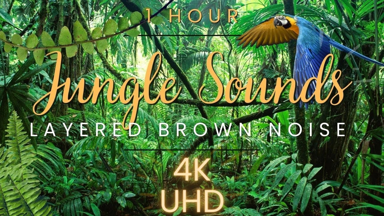 Relaxing Jungle Soundscape with Brown Noise Layered Audio, Birds, 4k UHD, Parrots, Focus Study Sleep