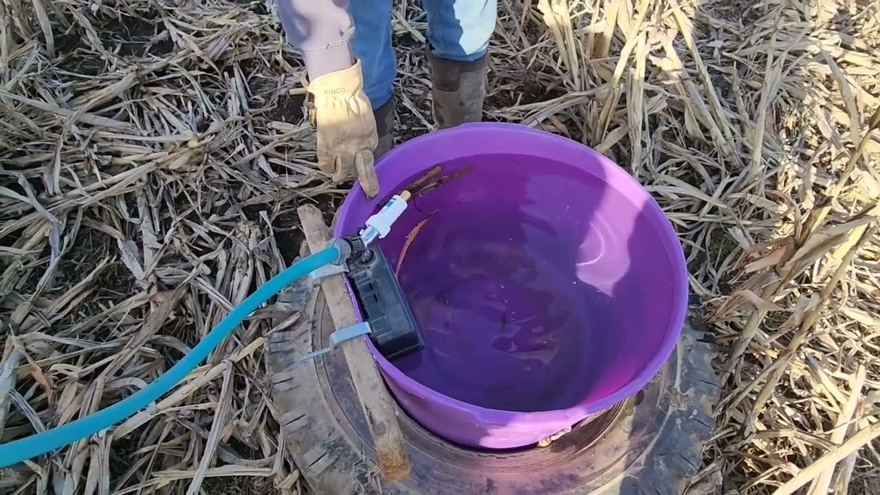 Smart Fence Setup Grazing Milo Stubble
