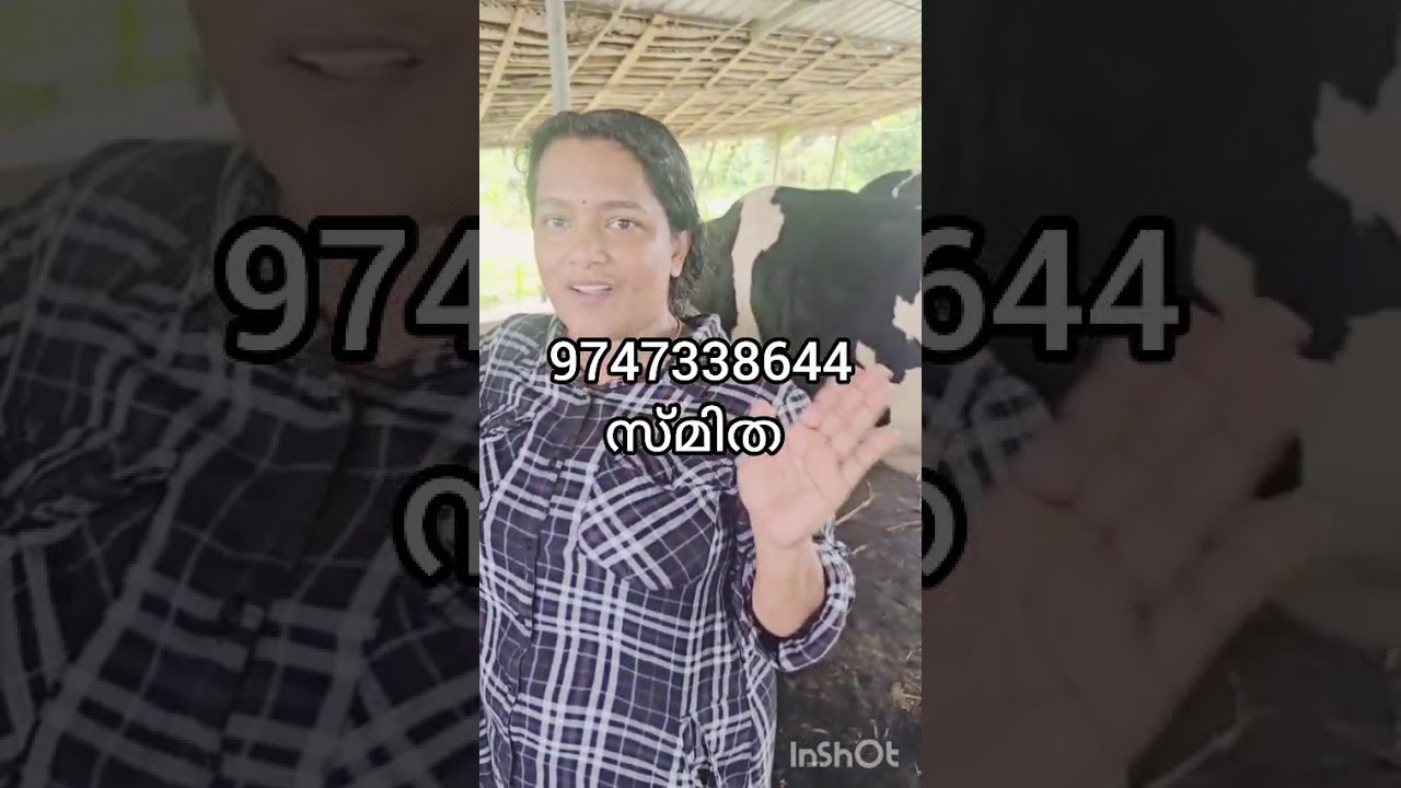 ആഹാ... ഇപ്പോൾ വാങ്ങിയാൽ ഇരട്ടി വാങ്ങാം 😂