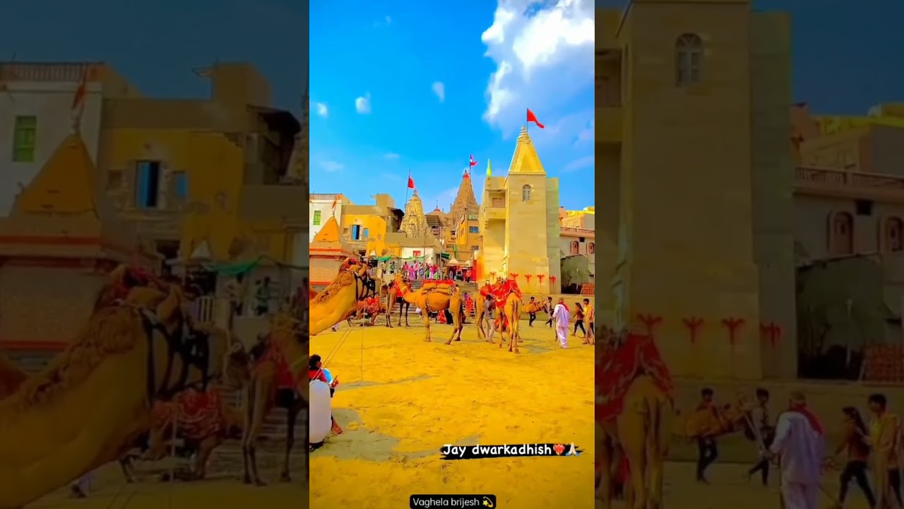 Jay dwarkadhish temple status &hearts;️/ dwarka na nath mara song status 😌/ #status #dwarkadhish #reels