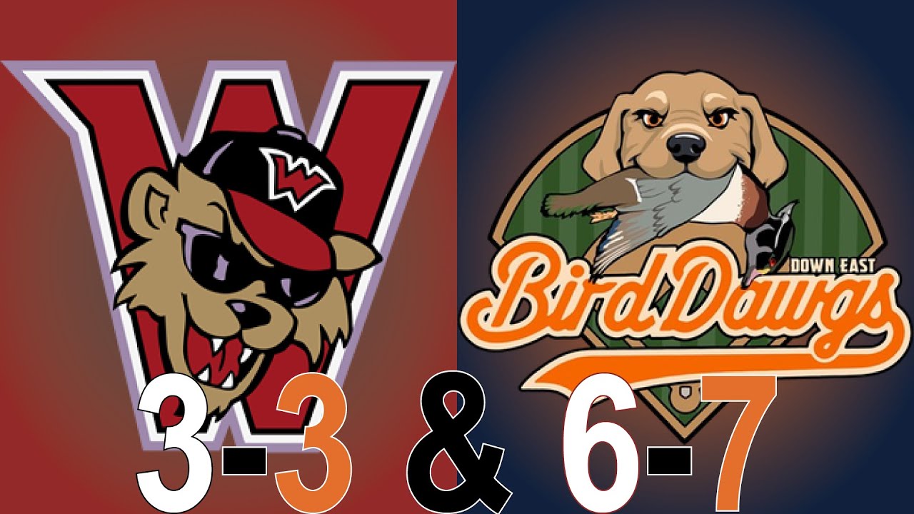Washington Wild Things vs. Down East Bird Dawgs Highlights (8/30/25 and 8/31/25)