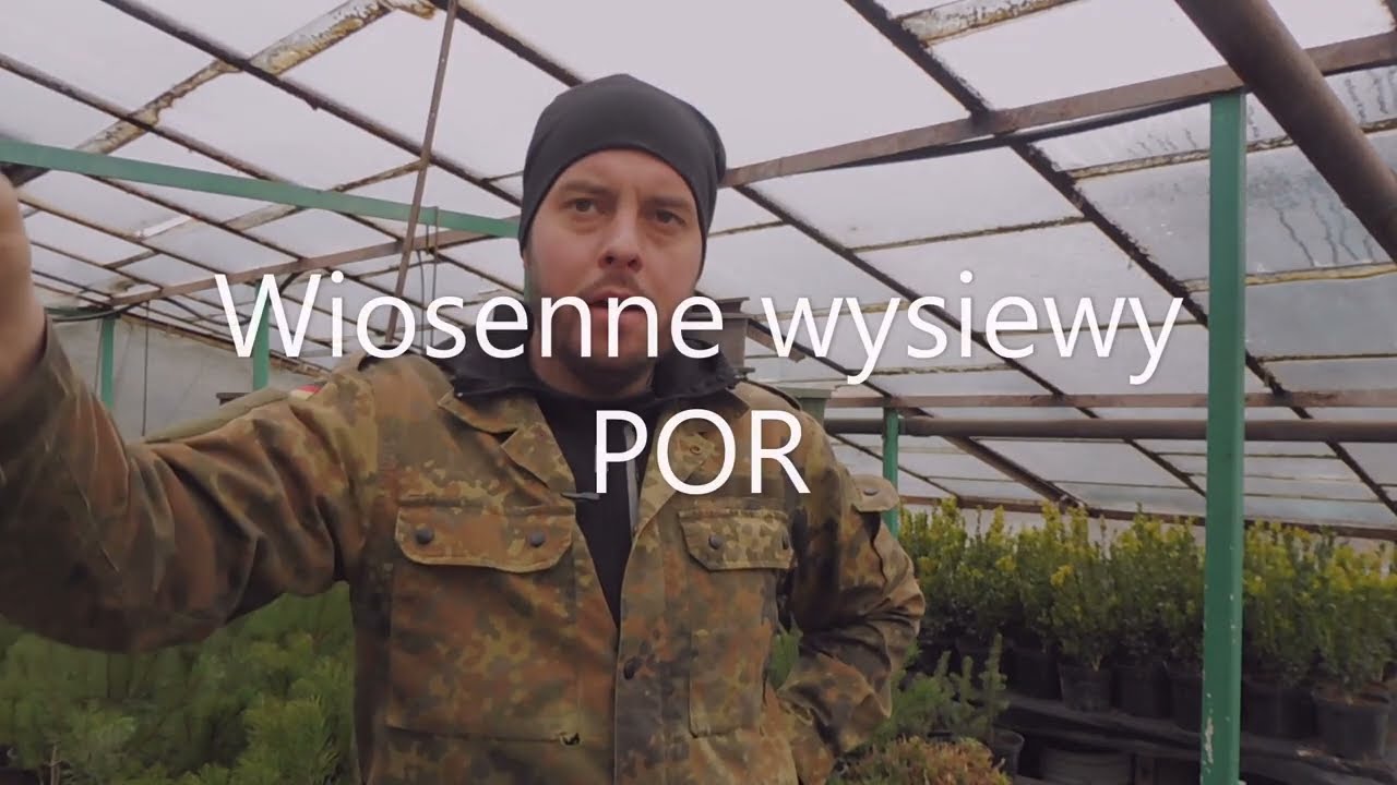 Wiosenne wysiewy POR, jak i kiedy siać