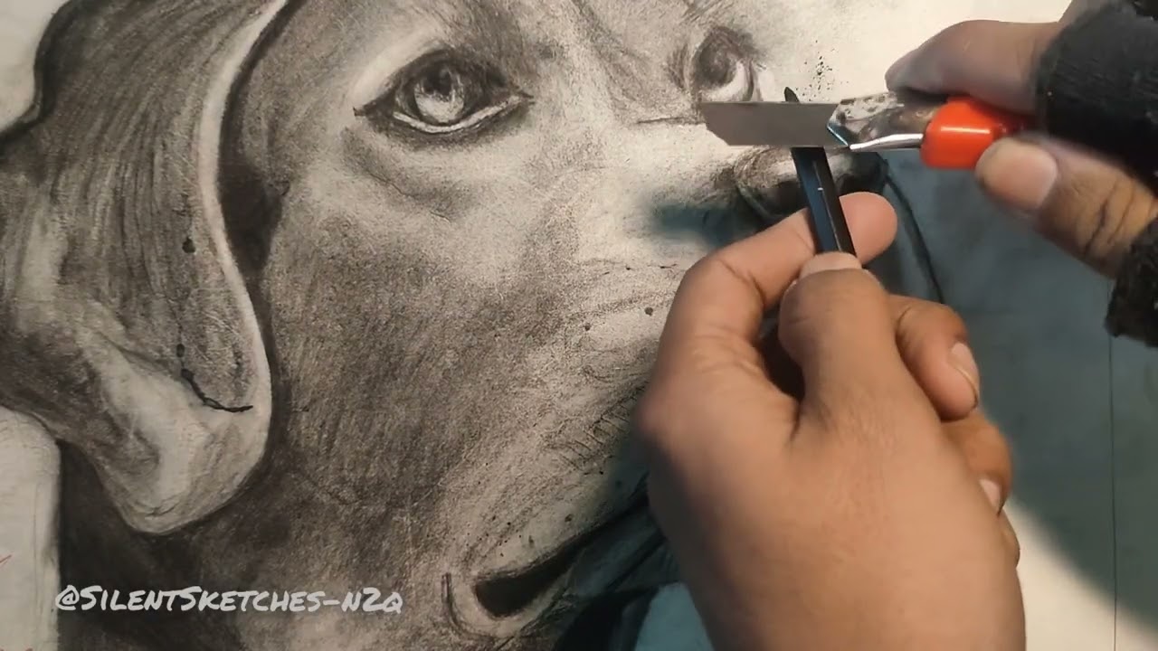 From rough lines to a realistic soul 🐶✏️ Watch the transformation!”