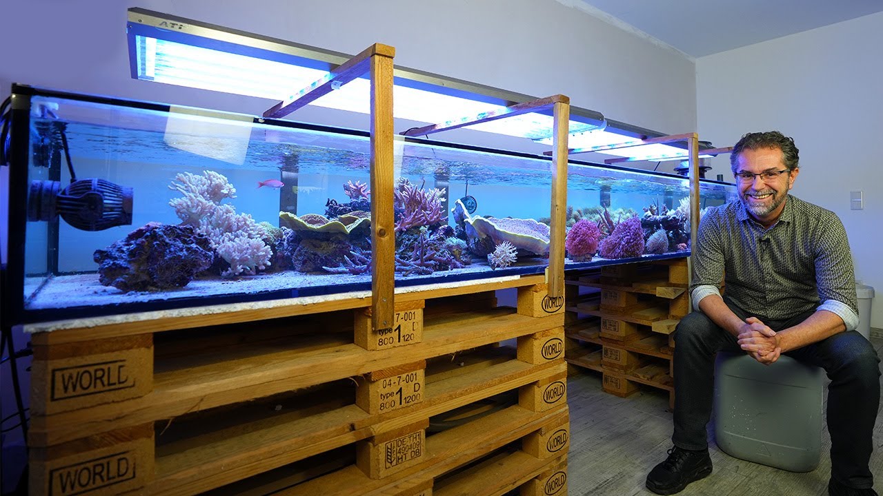 Das Unfallaquarium + Die Wasseranalyse der nächsten Generation *ATI Aquaristik*