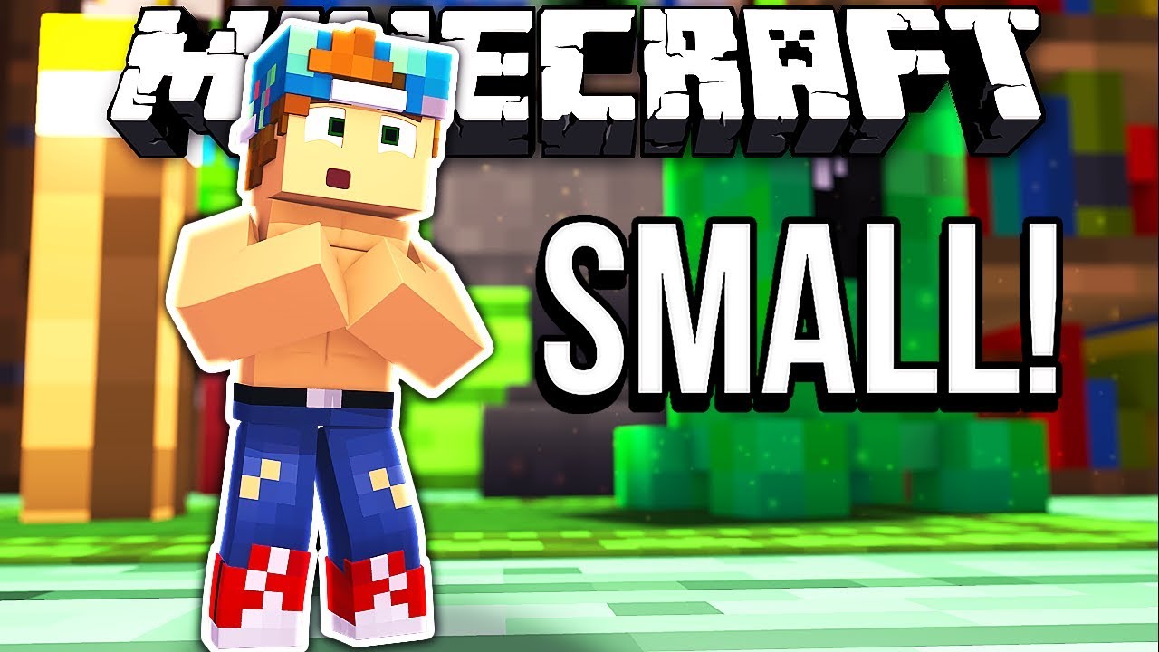 BIG vs. SMALL LIFE IN MINECRAFT!!