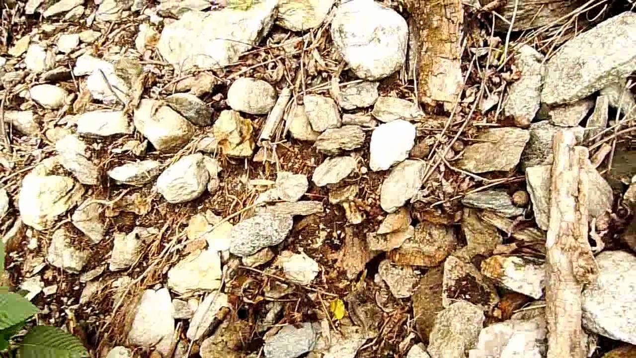 Uran in der Natur: Die Anomalien bei Trun (1.Teil) Graubünden Schweiz  Radioaktivität