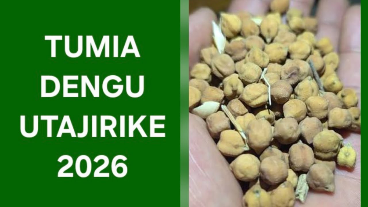 DENGU ZINA NGUVU ZA UTAJIRI...+255 622 074085