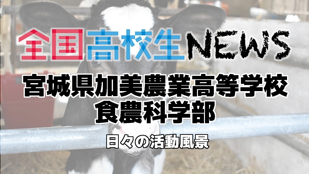 【全国高校生NEWS】宮城県加美農業高校 食農科学部の活動風景