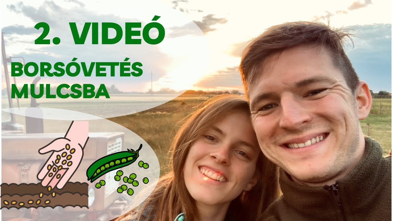 Mi az a mulcs és miért jó? Vagy nem jó? - Borsóvetés mulcsba