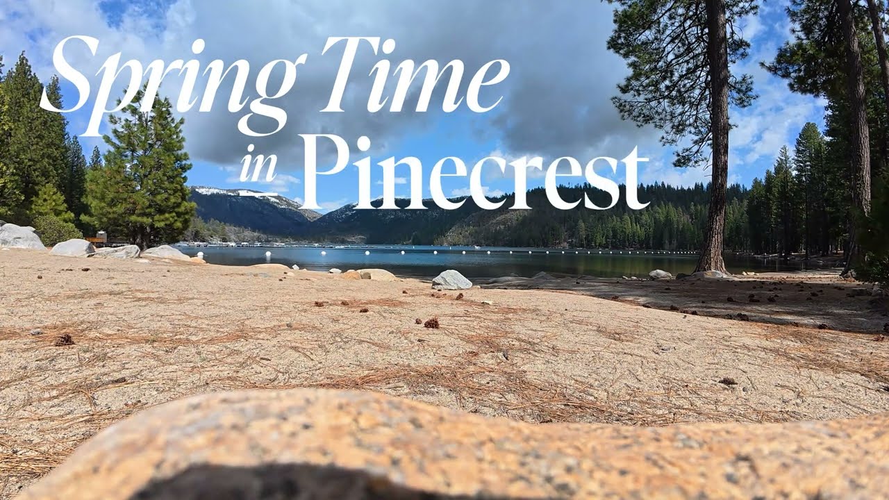 Pinecrest Lake Beach Front Row Relaxation 4K | Spring Time | Soothing Ambience Nature Sounds.