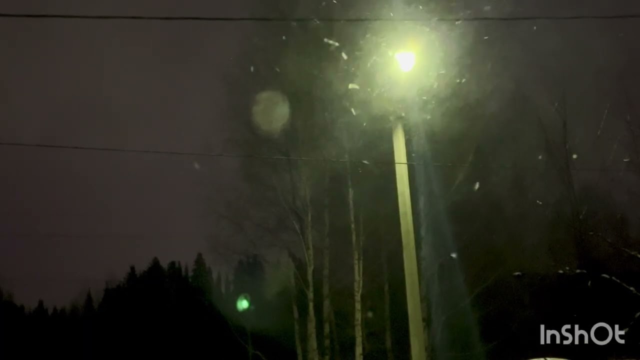 Lonely Streetlight in the Winter Forest ❄️ Chill Lofi Night Vibes