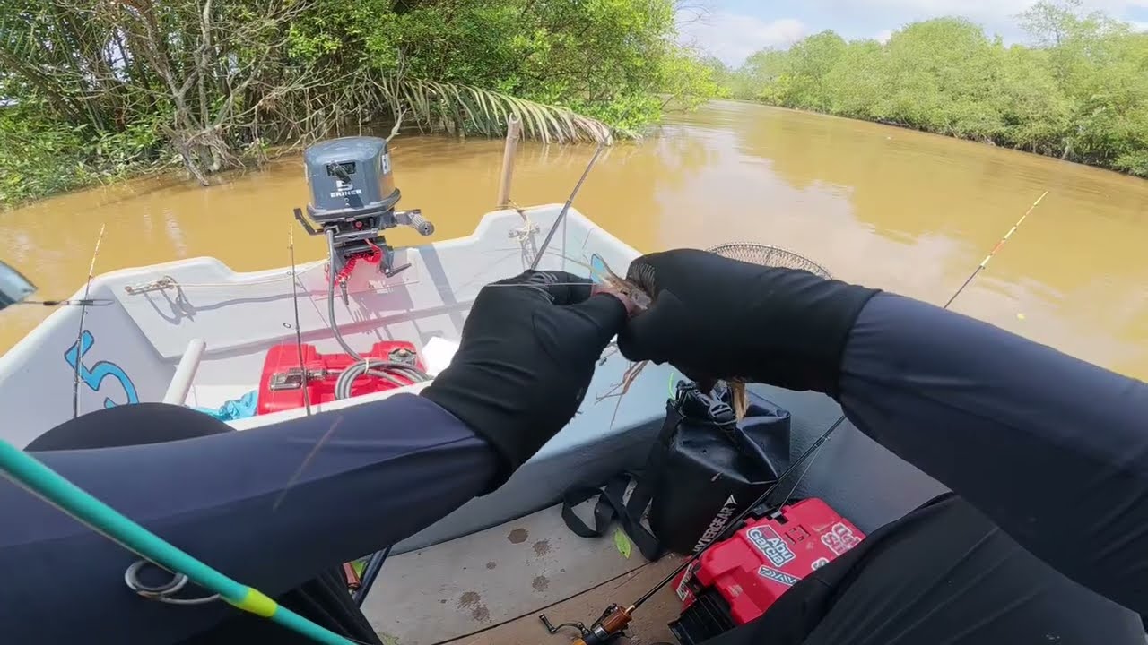 Mancing udang disungai Benut