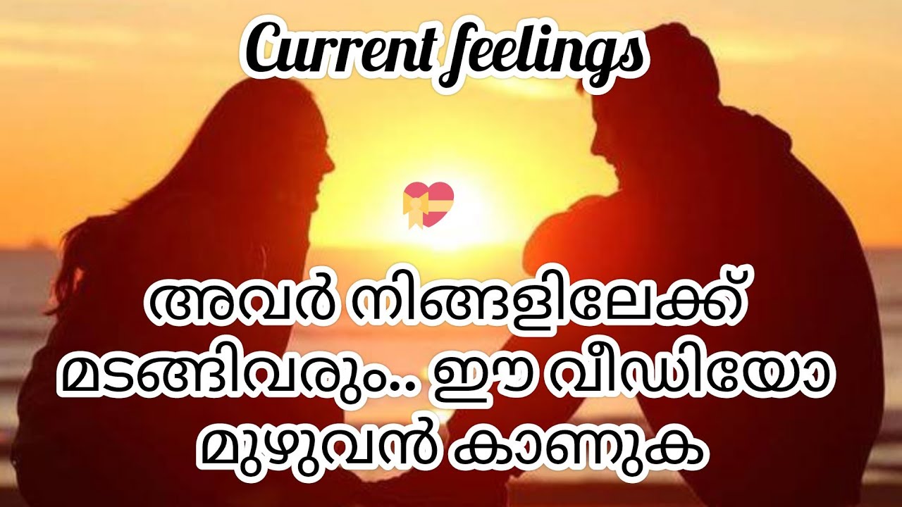 അവർ നിങ്ങളുടെ അടുത്തേക്ക് വരുന്നു ... CURRENT FEELINGS OF YOUR PARTNER  #love #malayalam