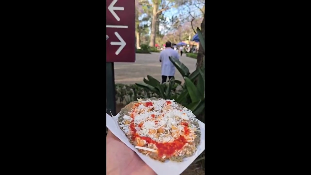 Actividad 6 Historia de la alimentación