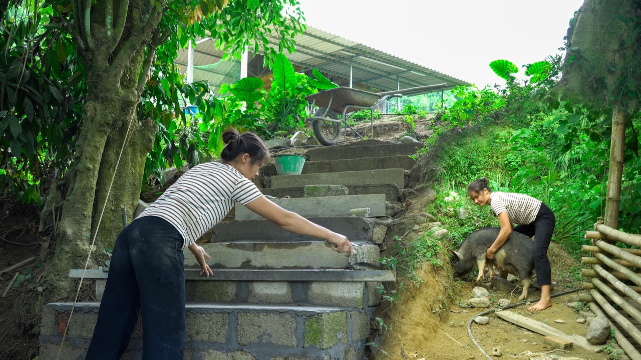 Design and build a complete staircase. Double the joy when the lost pig returns | Ly Tu Linh.