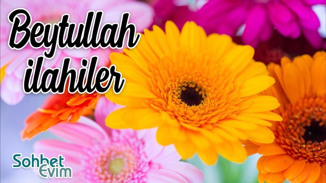 Beytullah İlahileri 💖 Karışık İlahiler 💖 En Sevilen İlahiler 💖 Kervan İlahileri