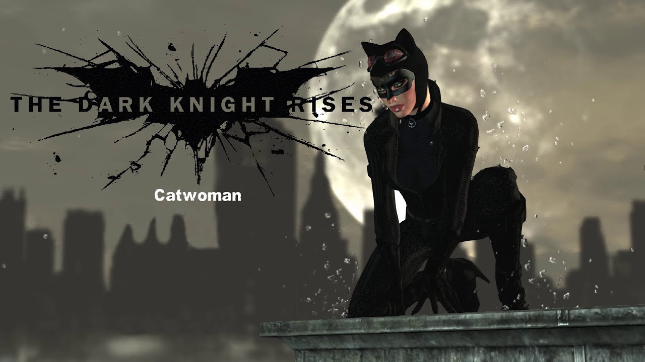 SKIN; Batman; Arkham City; TDKR Catwoman