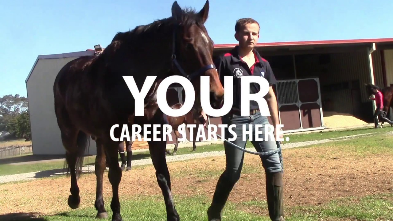 Start your Racing Career | Certificate II Stablehand