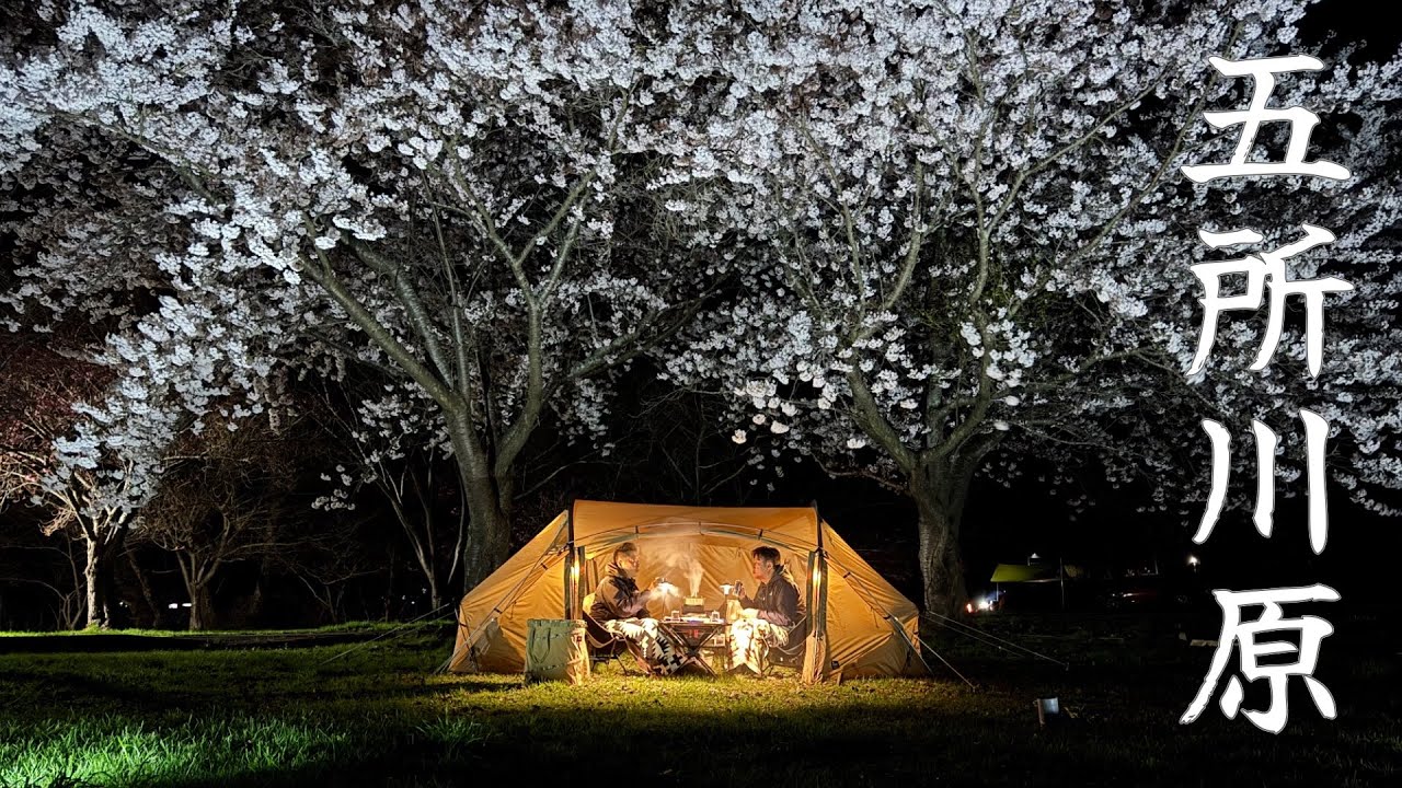 【東北キャンプ】ご縁があり青森県五所川原市に行き桜満開の湖畔キャンプを満喫@芦野公園オートキャンプ場 (Camp in Japan)  Aomori Camp, Japan.