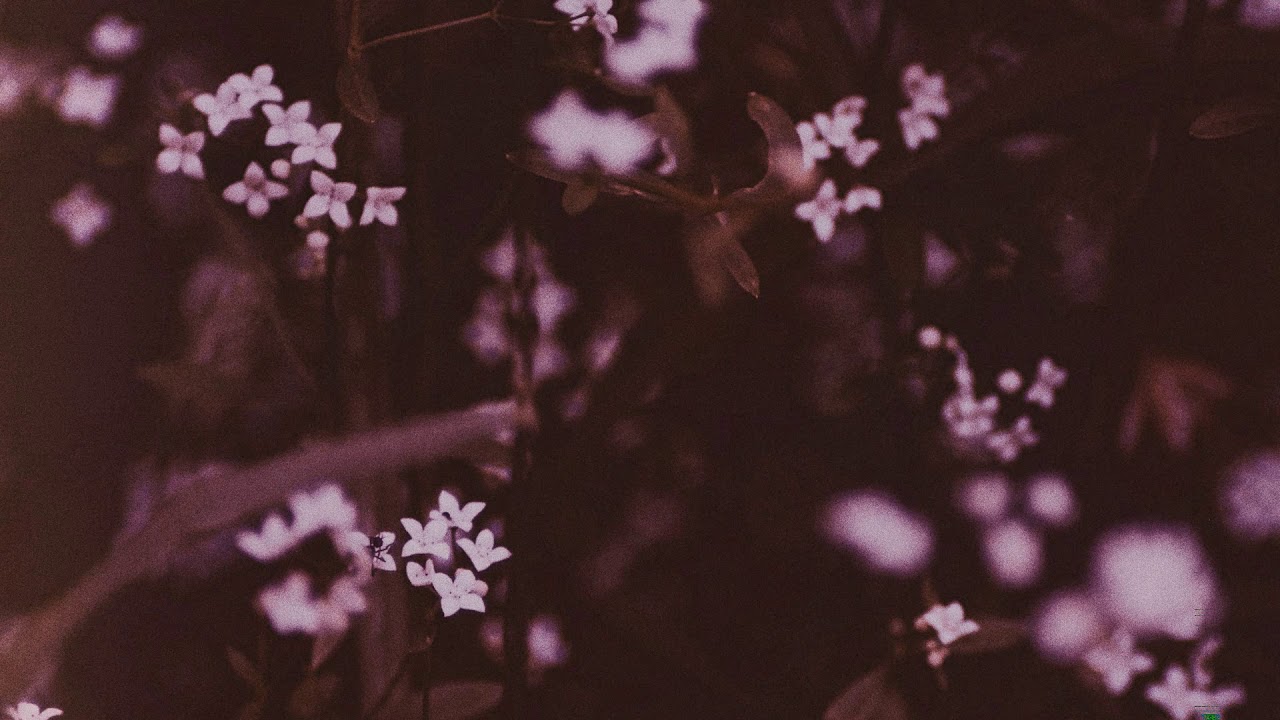 Les Voyages de l'Âme (Alcest cover)
