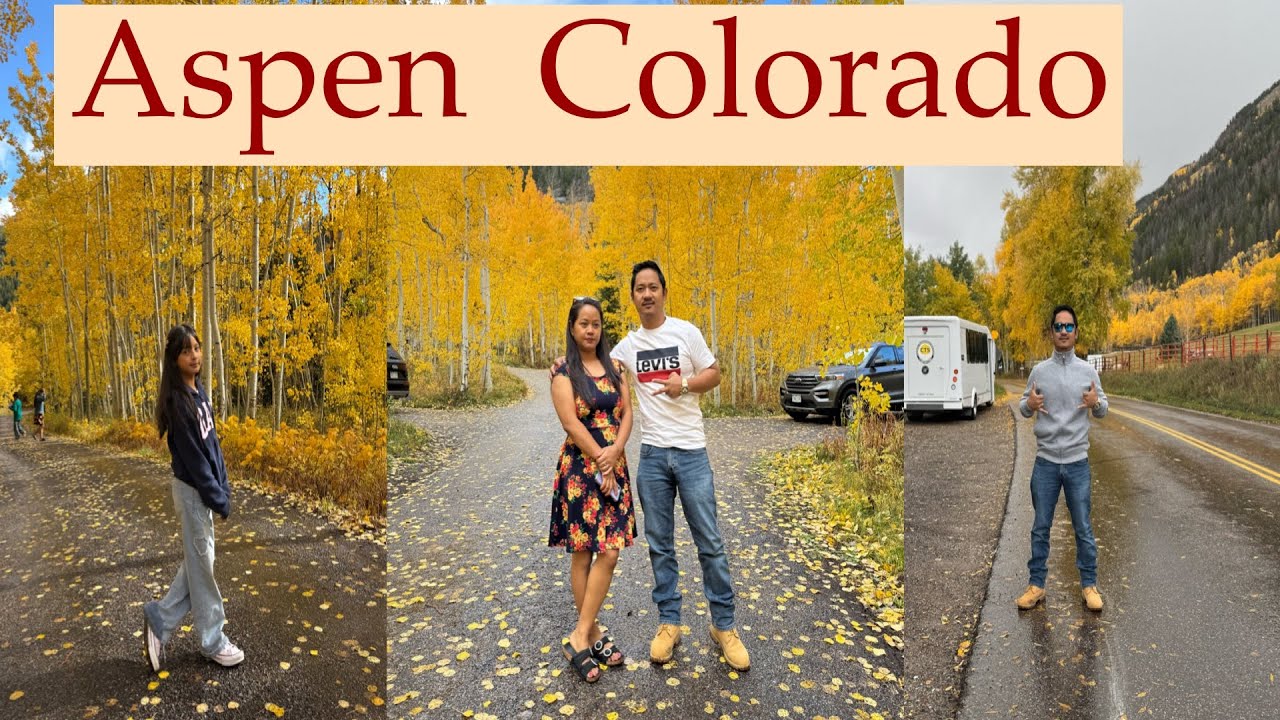 Autumn Aspen Colorado #colorado #aspen #autumn #autumn #autumncolors #roadtrip #colorado #nepali 