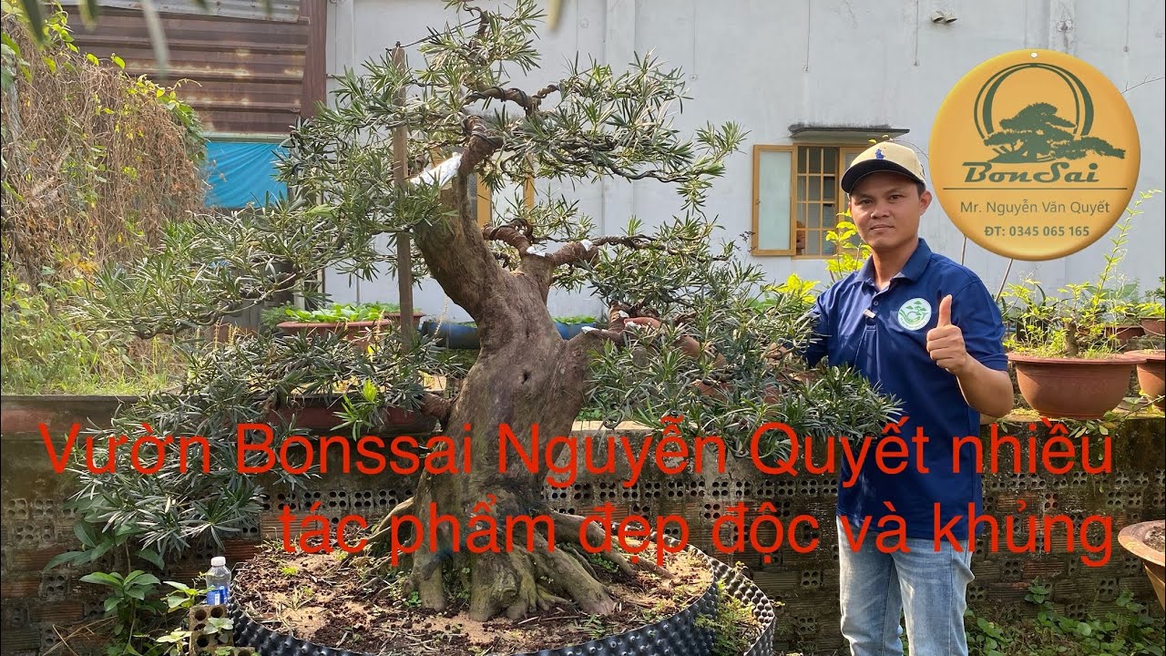 Lang thang ngắm nhiều tác phẩm tại vườn em nhé ae 🥰🥰🥰