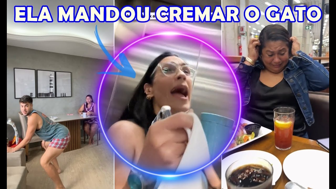Alvaro Xaro descobrindo o que a mãe fez com o gato dela que faleceu | Stories do Alvaro