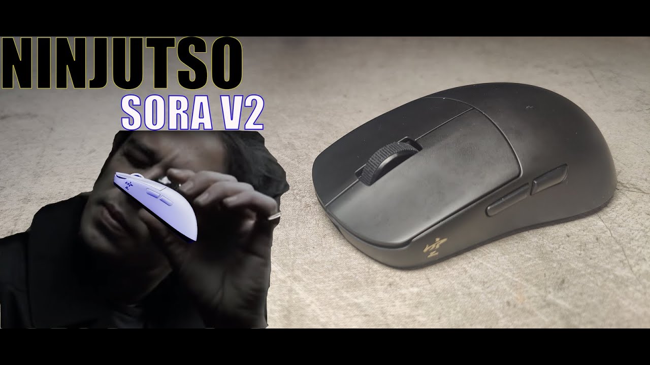ОБЗОР NINJUTSO SORA V2 (ЧЕСТНЫЕ 100 $)