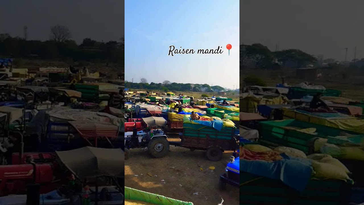 Raisen mandi 📍 #nishudaswal #farming #trending #popular #raisen #kisan #song  #hindisong #meenaji