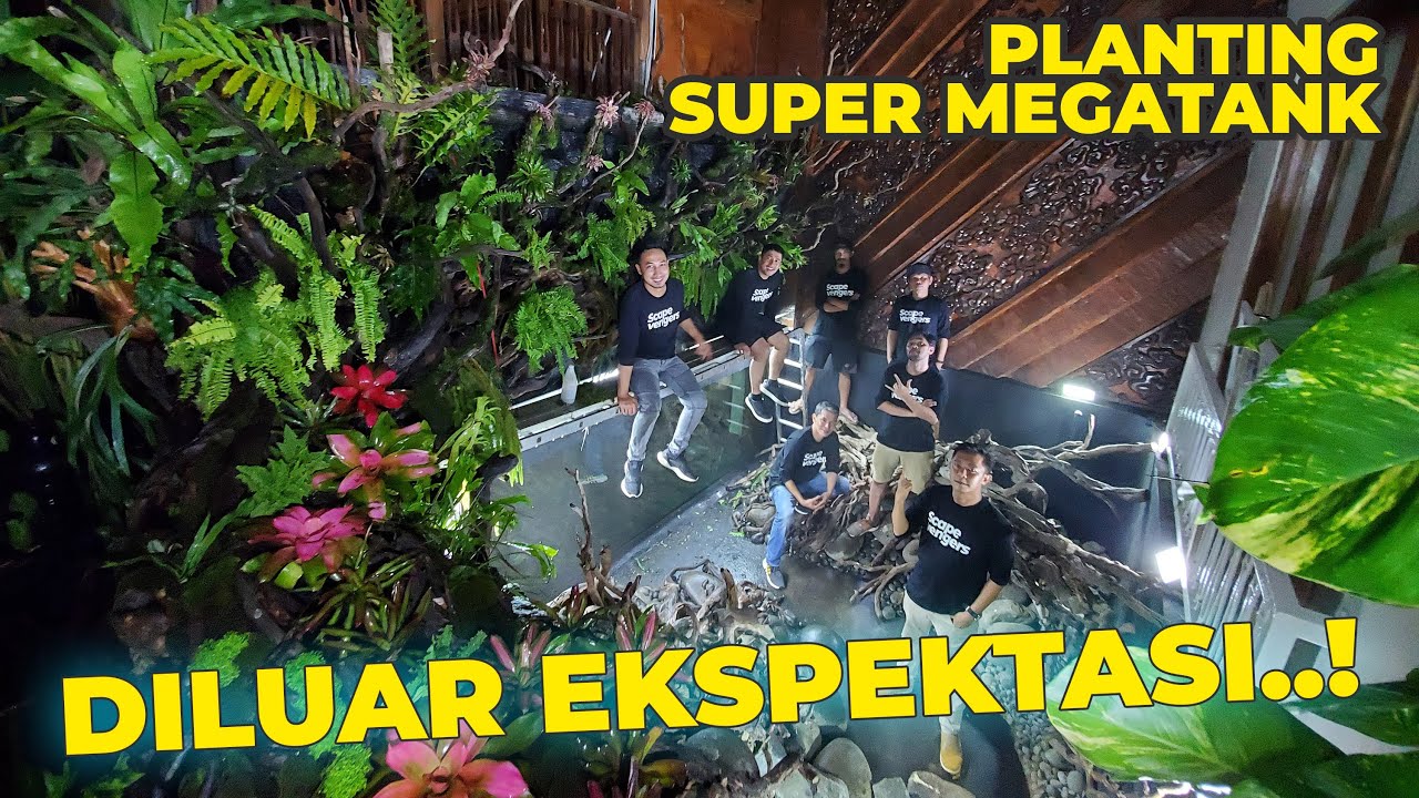 #EPS34 GIL4AAA..!! PLANTING PALUDARIUM SUPER MEGATANK DILUAR EKSPEKTASI..!!