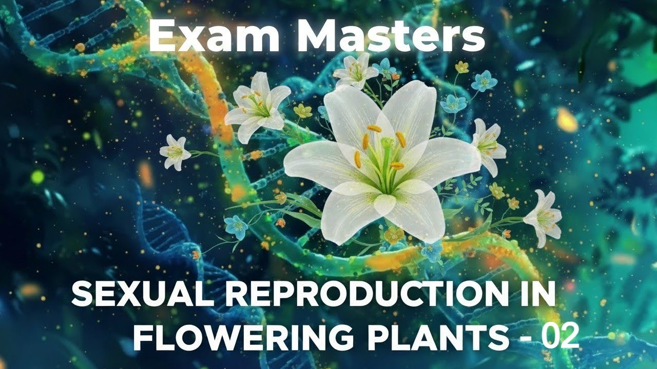 Sexual Reproduction in Flowering Plants - 02