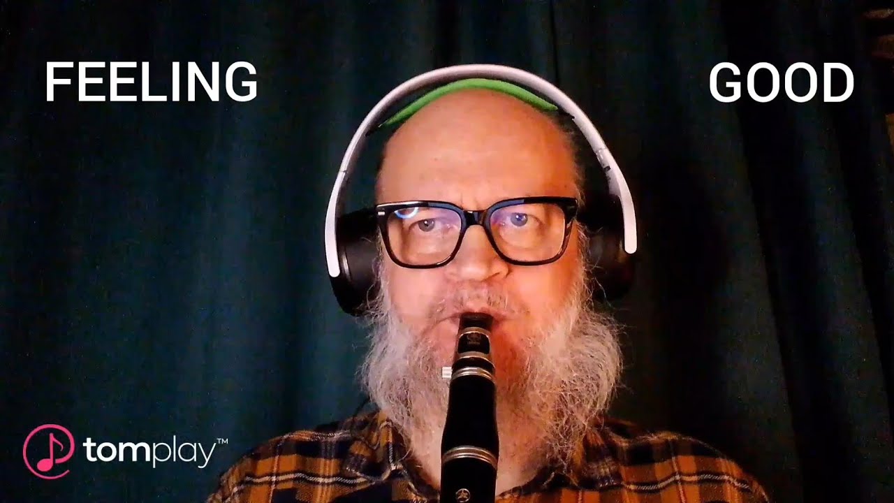 Feeling Good - clarinet cover