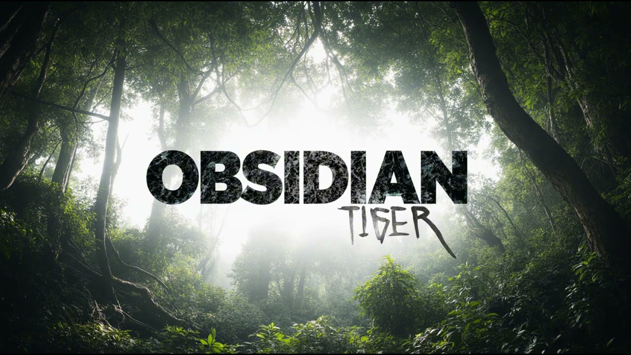 Obsidian Tiger - SoftVibe Sounds [Original]