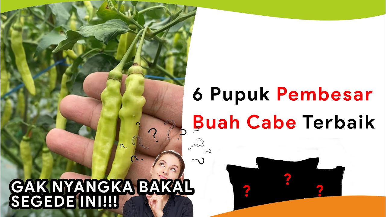 6 Pupuk Pembesar Buah Paling Bagus dan Manjur!