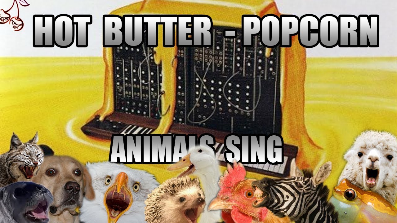 Hot Butter - Popcorn (Animal Cover)