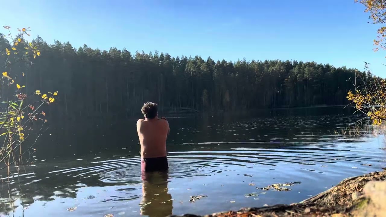 Бодрость