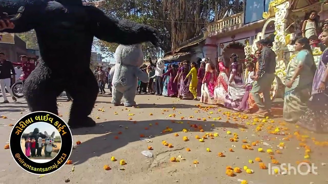 ગામ પંડોળી માં ફુલ મોજ 