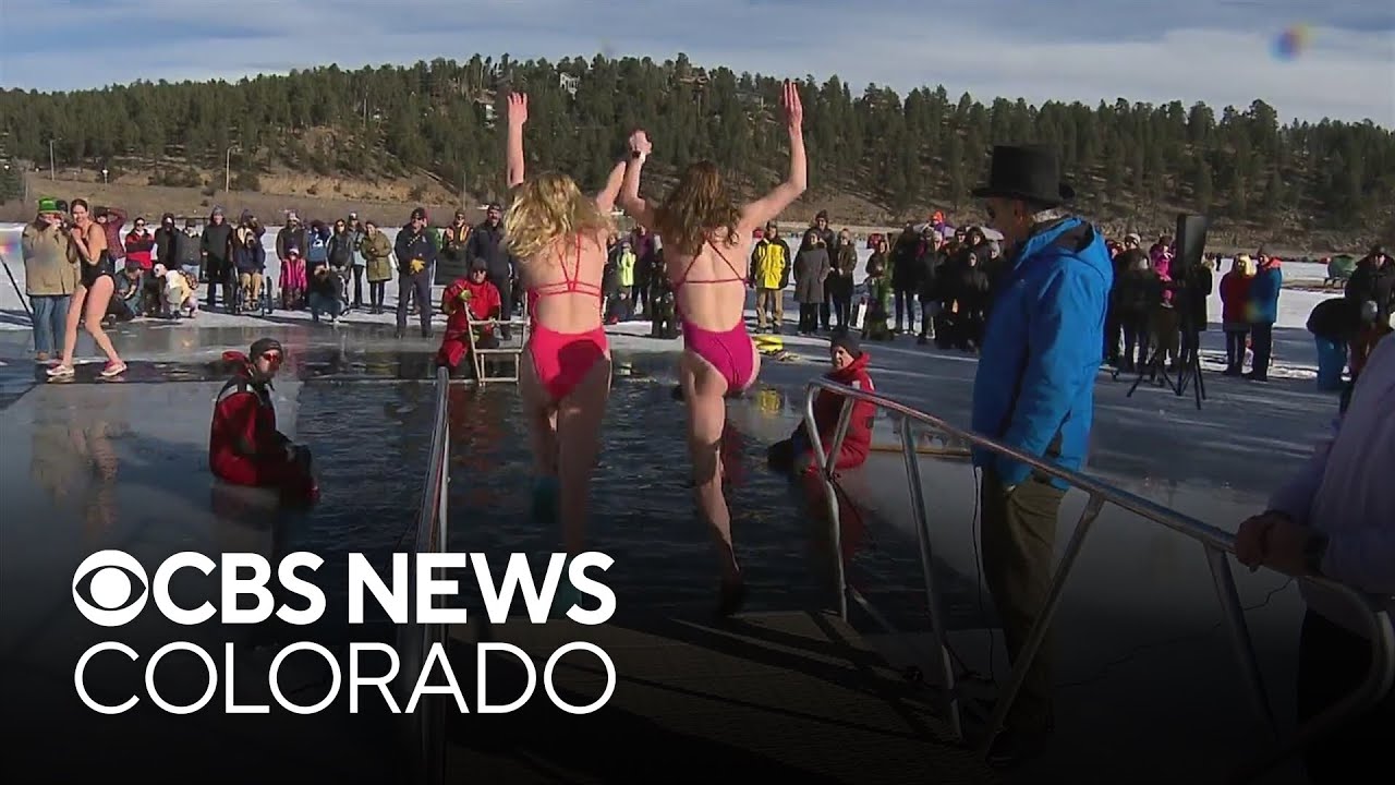 Hundreds take part in polar plunge in Evergreen