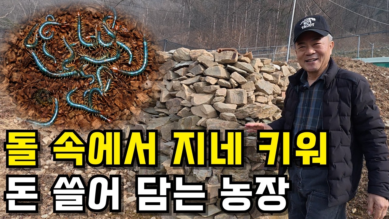 “없어서 못 팔아요” 11년째 국산 지네 키워 떼돈 버는 농장