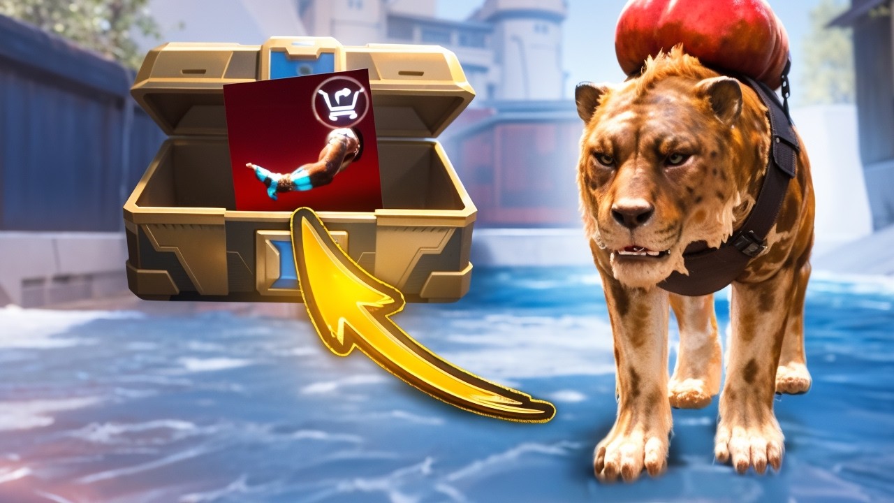 С НУЛЯ ДО ФУЛЛ 6 В ПЕРВЫЙ ДЕНЬ РАЗВИТИЯ С NOTE! 🔥 | ТИГРЫ В МЕТРО РОЯЛЬ ?! 😱 | METRO ROYALE  | PUBGM