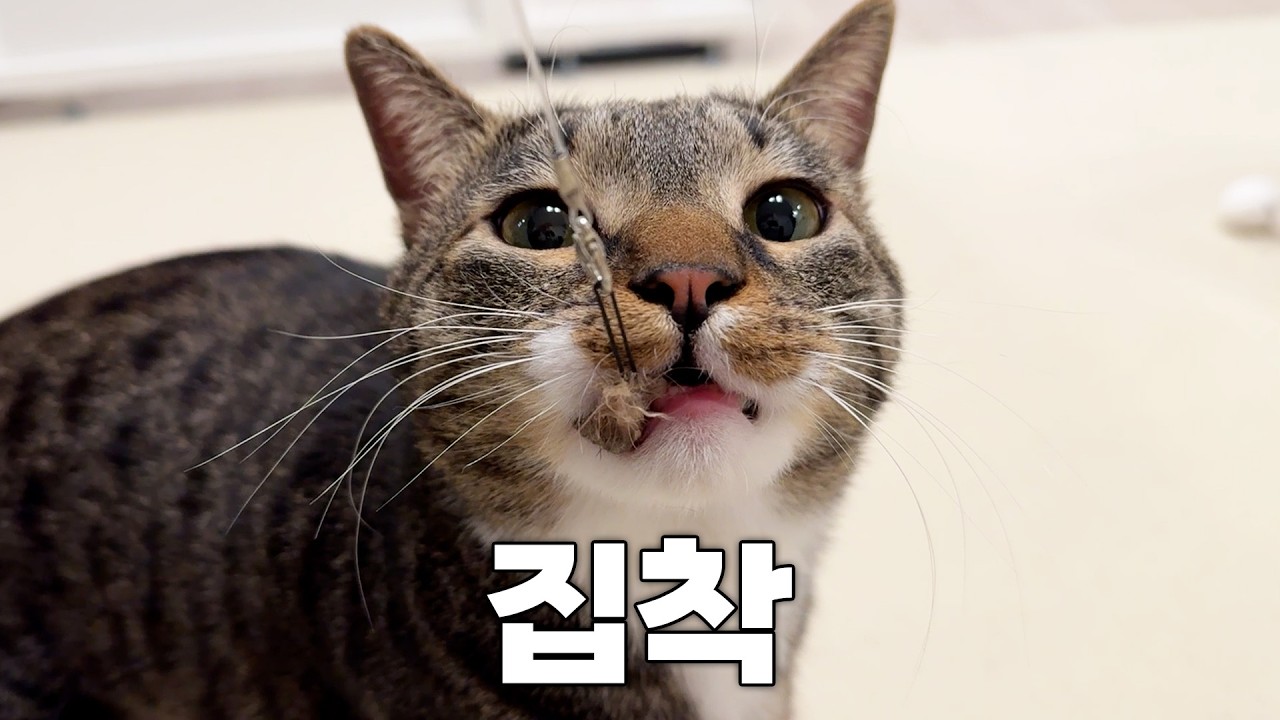 제발 그것 좀 놔주세요...