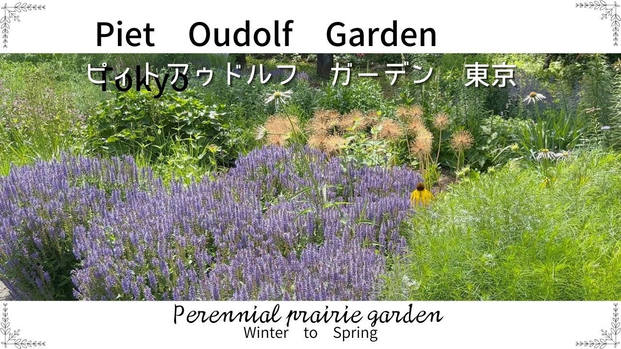 «PIET OUDOLF GARDEN TOKYO», спроектированный Питом Аудольфом, от зимы до весны🌺