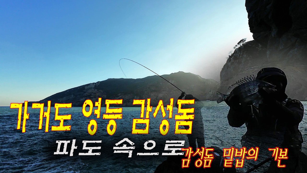 가거도 영등 감성돔 파도속에 히트 #감성돔낚시 #가거도 #바다낚시 #영등감성돔 #대사리 #갯바위찌낚시