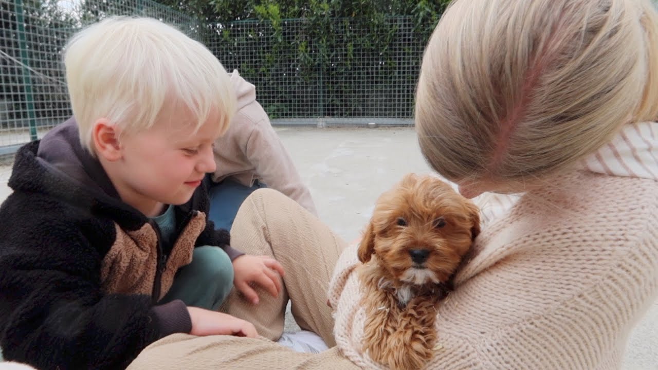 Ontmoet onze cavapoo puppy | Verbouwings update