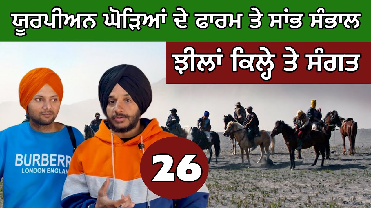 ਯੂਰਪੀਅਨ ਘੋੜਿਆਂ ਦੇ ਫਾਰਮ ਤੇ ਸਾਂਭ ਸੰਭਾਲ। Ghudda In Italy