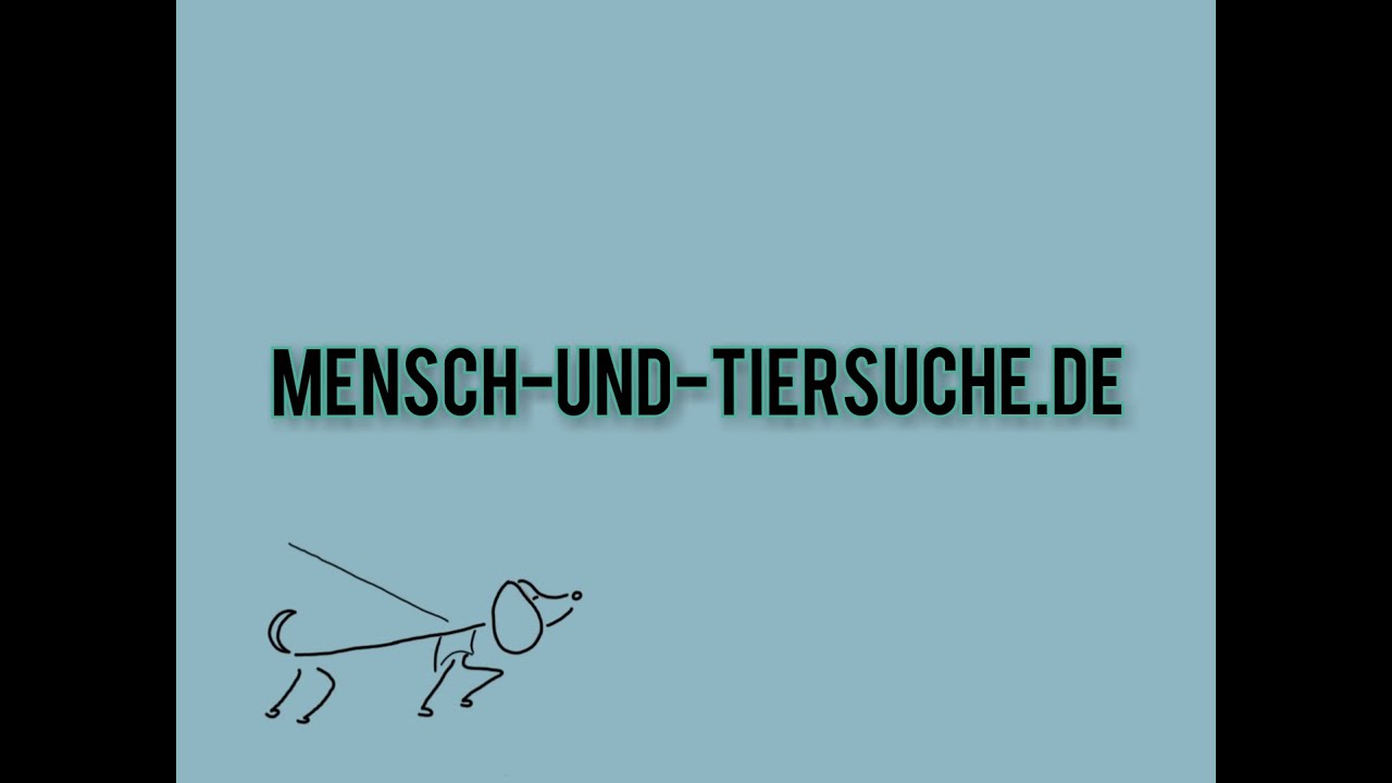 Reizangeltraining