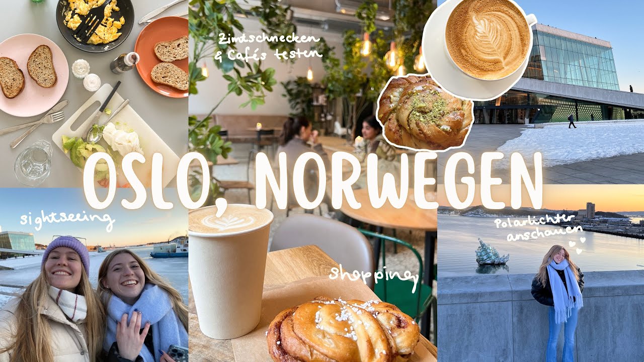 Oslo Vlog | Polarlichter, Zimtschnecken testen & sightseeing