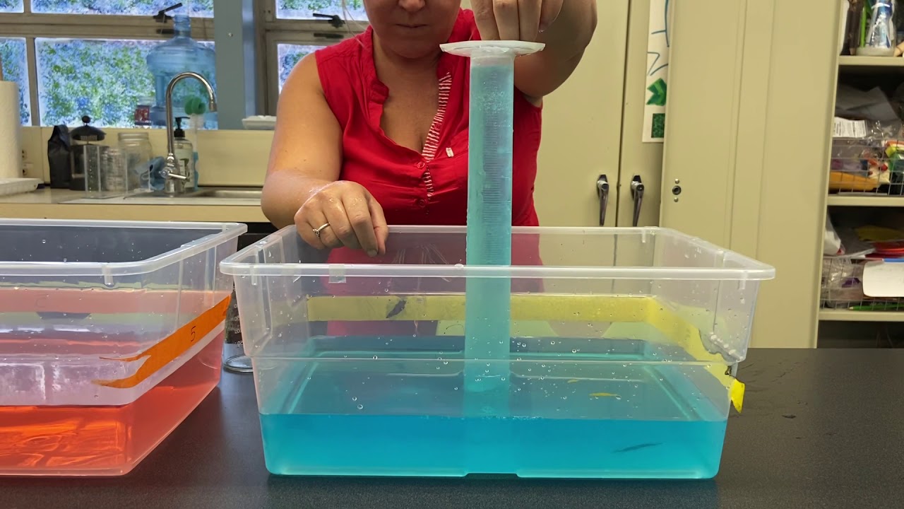 Carbon Dioxide Solubility Lab