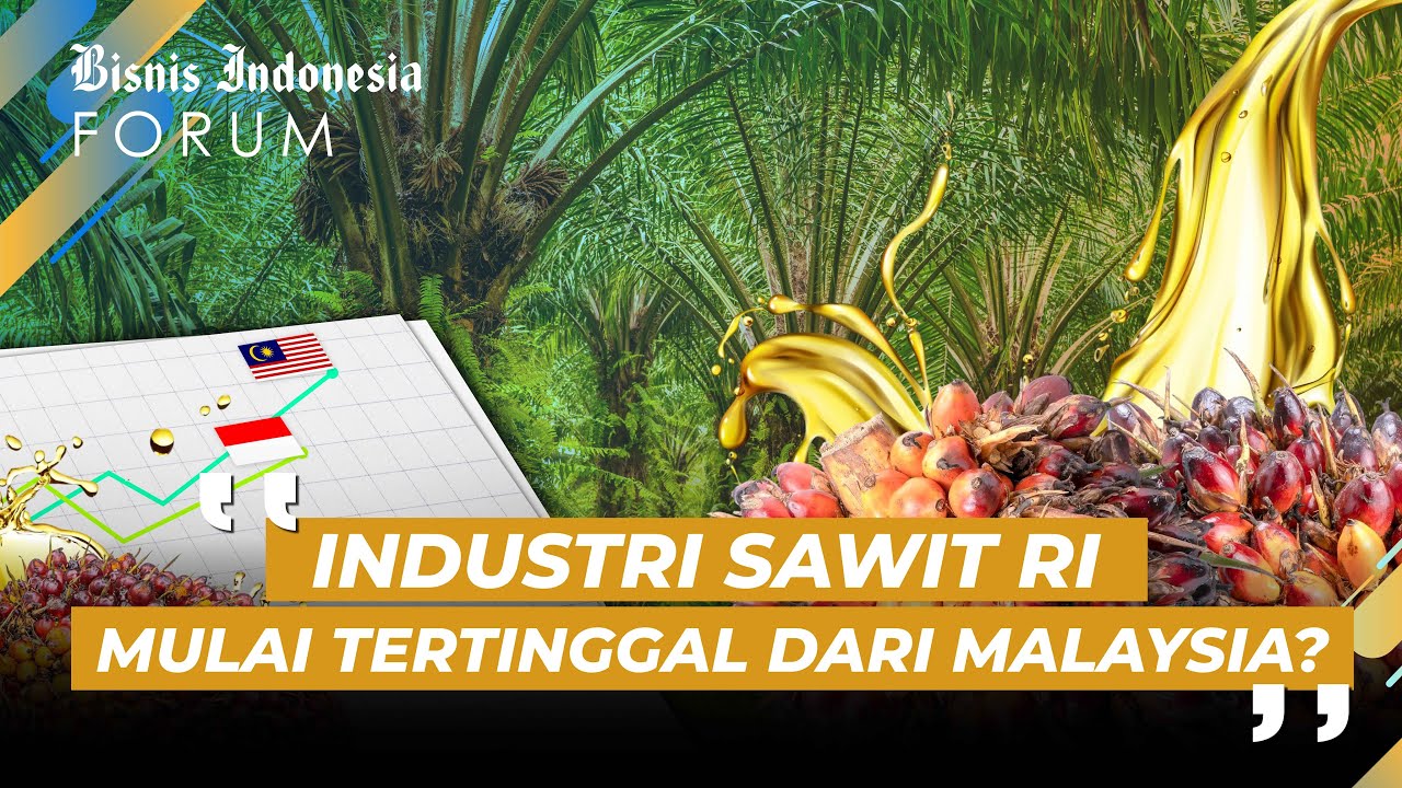 Industri Sawit, Urat Nadi Ekonomi yang Kian Tertekan