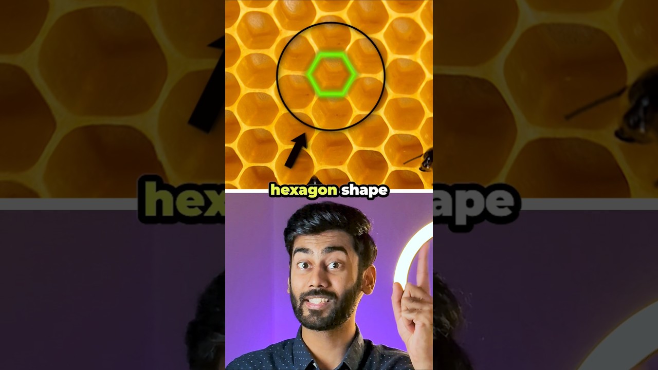 Why honeycombs are hexagonal #shorts #interestingfacts
